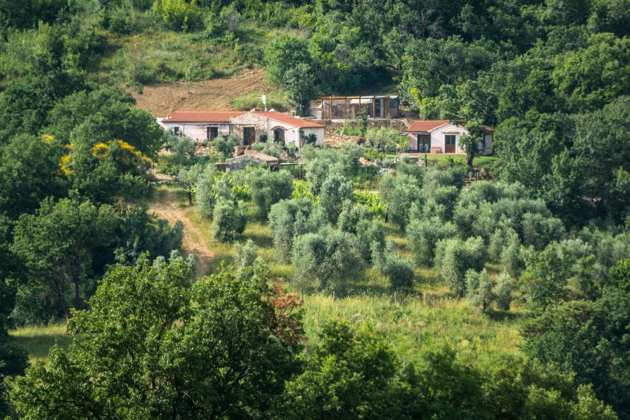 Agriturismo Fontenuova Saturnia Bagian luar foto