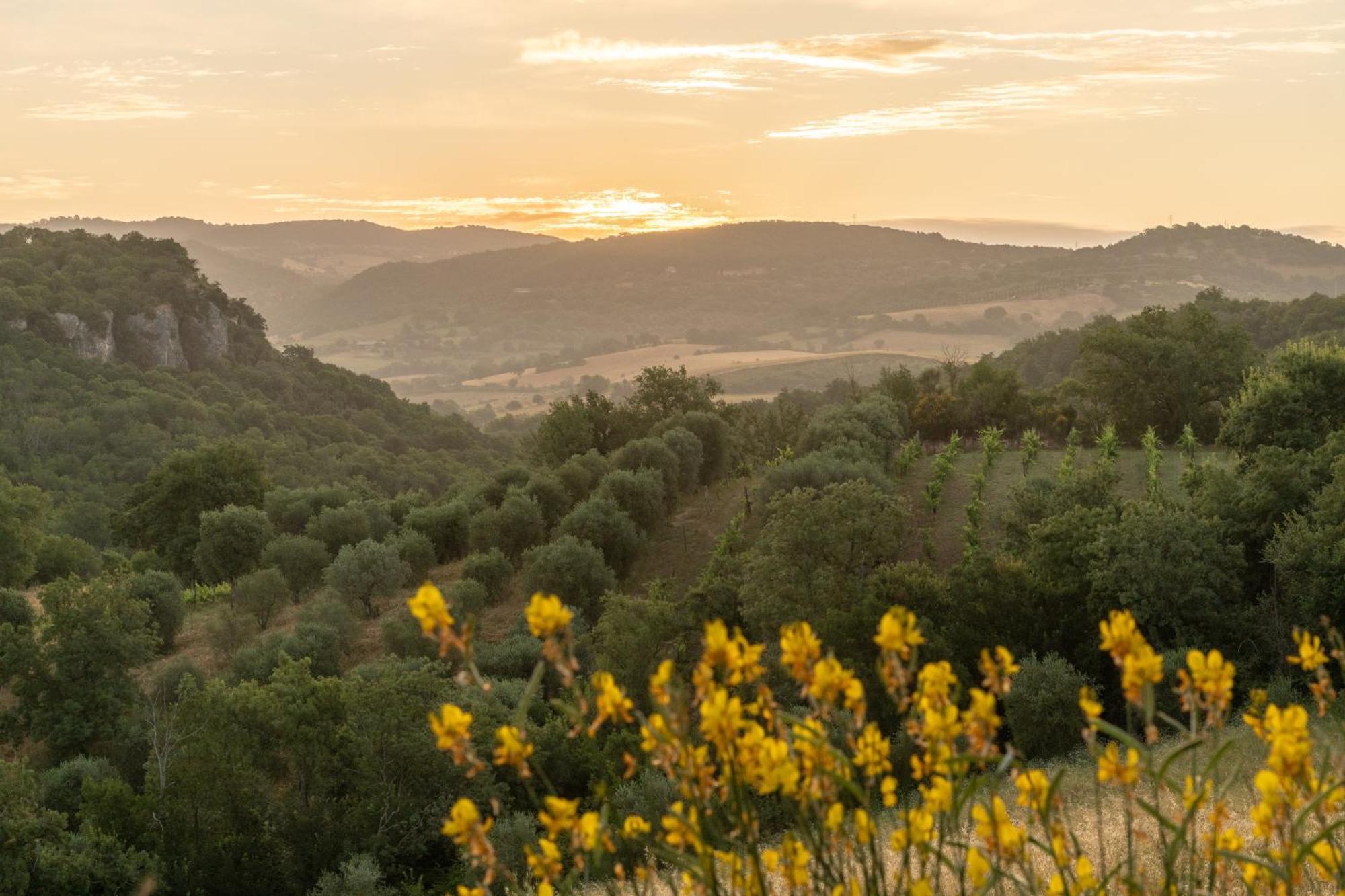 Agriturismo Fontenuova Saturnia Bagian luar foto